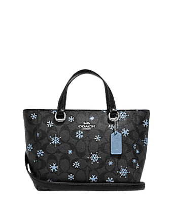 Coach shop snowflake satchel