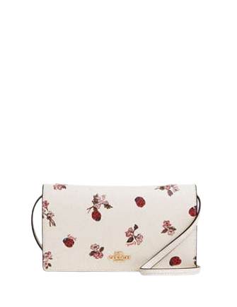 Anna foldover crossbody clutch rainbow hotsell