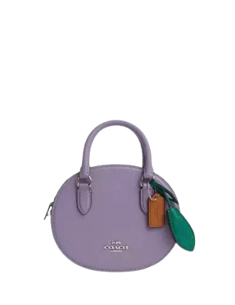 Coach Blueberry Crossbody