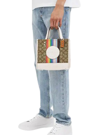 Rainbow stripe coach purse hotsell