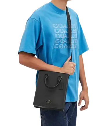 Coach dylan bag sales