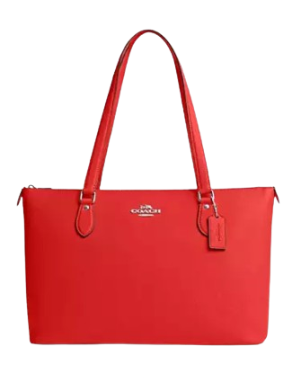 Coach Gallery Tote | Brixton Baker