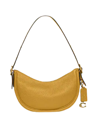 Coach bag gold hot sale