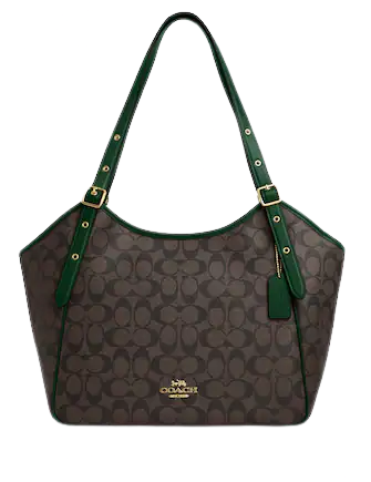 Coach sling bag best sale 2019