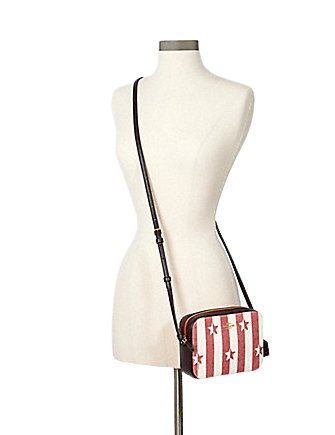 Coach Mini Camera Bag With Stripe Star Print Brixton Baker