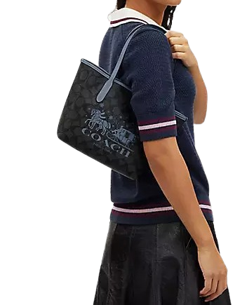 Coach mini 2025 tote bag