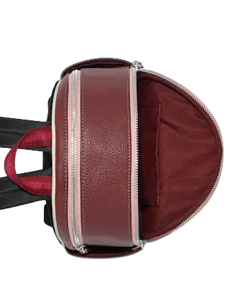 Coach Mini Court Backpack In Colorblock With Ski Speed Graphic