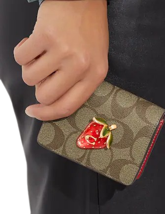 Coach ladybug wallet hotsell