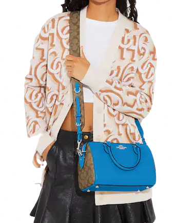 日本未入荷 Coach Rowan Satchel Bag フルーツ柄 日本未入荷 Coach Rowan Satchel Bag フルーツ柄 (Coach