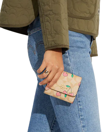 Tiny coach wallet deals