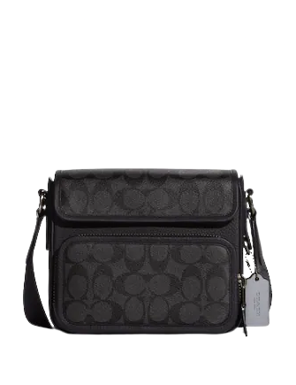 Got the new black on black, quilted Coach heart bag. And ordered