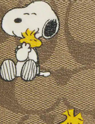 Coach Coach X Peanuts 3 In 1 Wallet In Signature Canvas With Snoopy Woodstock Print