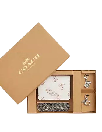 Coach Boxed Mini Wallet On A Chain With Floral Print Chalk
