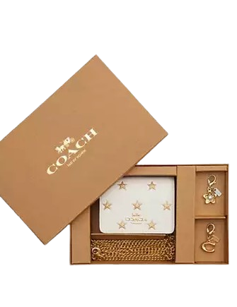Coach Boxed Mini Wallet On A Chain With Star Print Chalk