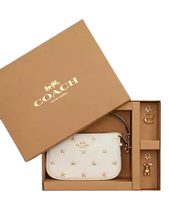 Coach Boxed Nolita Bag 15 With Star Print Chalk