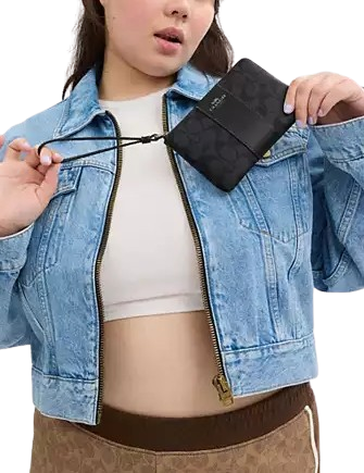 Coach Corner Zip Wristlet In Signature Canvas With Stripe Charcoal Black