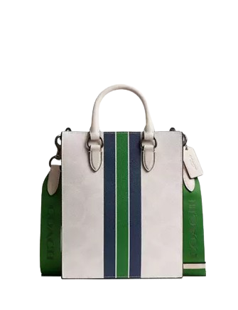Coach Dylan Tote Bag In Signature Canvas With Varsity Stripe Chalk
