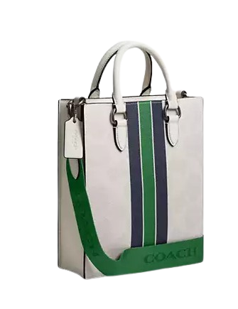 Coach Dylan Tote Bag In Signature Canvas With Varsity Stripe Chalk