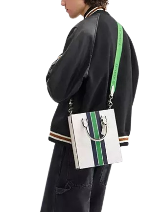 Coach Dylan Tote Bag In Signature Canvas With Varsity Stripe Chalk