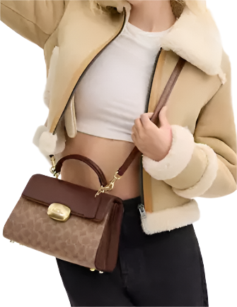 Coach Eliza Top Handle Bag In Signature Canvas Brixton Baker