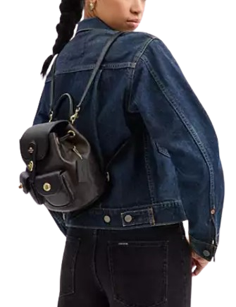 Coach Hadley Backpack In Signature Canvas Walnut Black