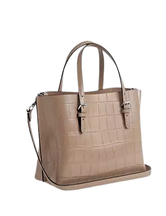 Coach Mollie Tote Bag 25 Stone