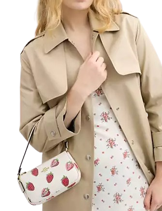 Coach Nolita 19 With Strawberry Print Chalk