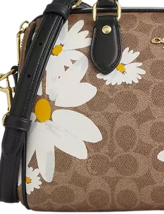 Coach Rowan Satchel Bag In Signature Canvas With Floral Print Tan