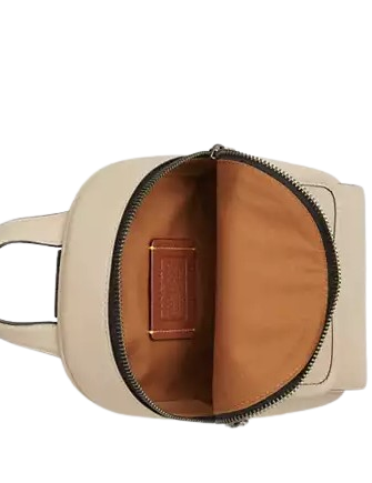 Coach Small Turnlock Sling Pack | Brixton Baker