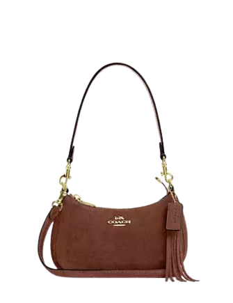 Coach Teri Mini Crossbody Bag Vintage Brown