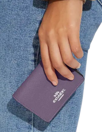Coach Mini Wallet on a chain  Wallet on a chain, Wallet, Mini wallet