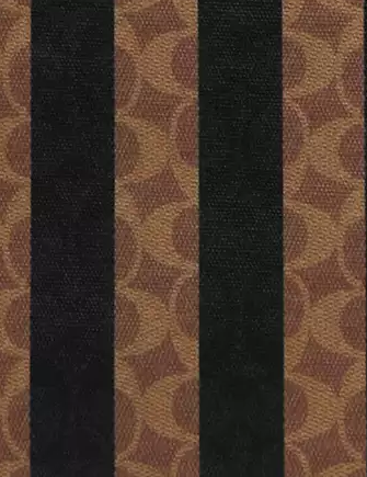 Coach Large City Tote Bag In Signature Canvas With Stripe