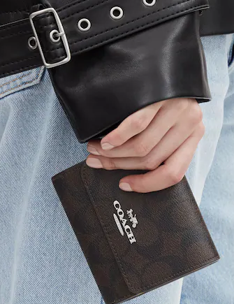 Snap wallet in signature canvas with colorblock interior Clearance