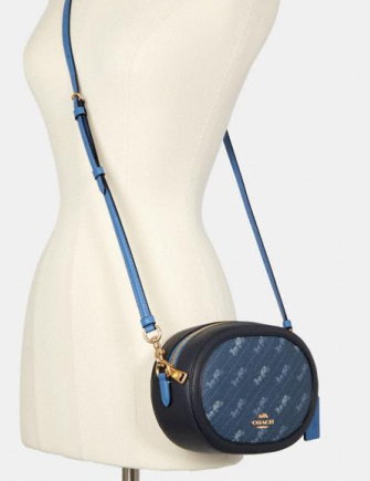 Coach Camera Bag With Horse And Carriage Dot Print | Brixton Coach Camera Bag With Horse And Carriage Dot Print | Brixton