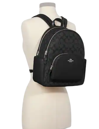 Coach Court Backpack In Signature Canvas