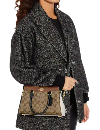 Mini lillie carryall 2025 in colorblock signature canvas