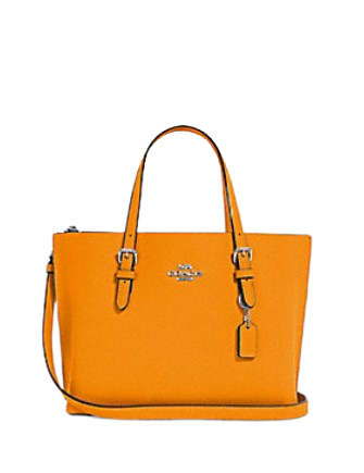 Coach orange 2025 tote bag