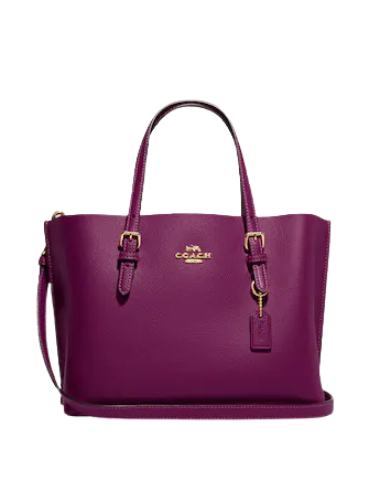Mollie coach tote deals