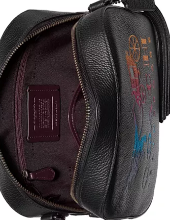 Coach camera bag cheap with rexy and carriage