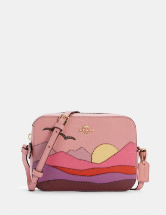 coach mini bag