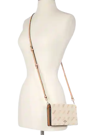Anna foldover crossbody clutch coach sale