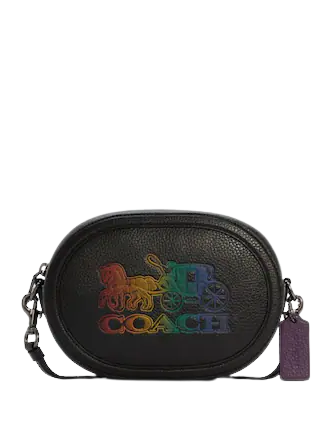 Camera bag with rexy and retailers carriage