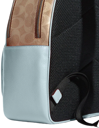 Coach Court Backpack In Signature Canvas