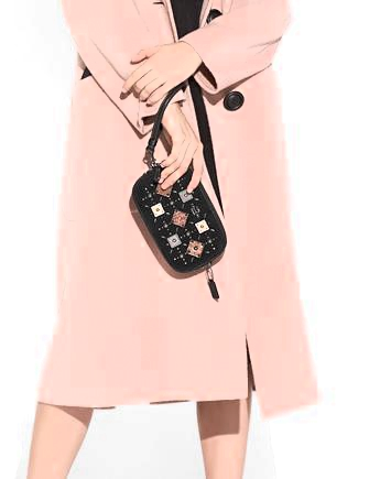 Coach Crossbody Clutch with Prairie Rivets