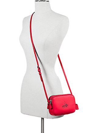 Coach Crossbody Pouch in Glove Calf Leather With Mickey