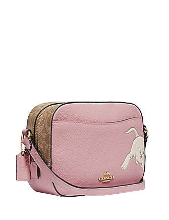 Coach Disney X Camera Bag With Dalmatian | Brixton Baker Coach Disney X Camera Bag With Dalmatian | Brixton Baker