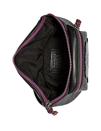 Coach Disney X Terrain Belt Bag in Signature Print with Dumbo