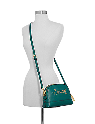 Coach leather dome crossbody hotsell