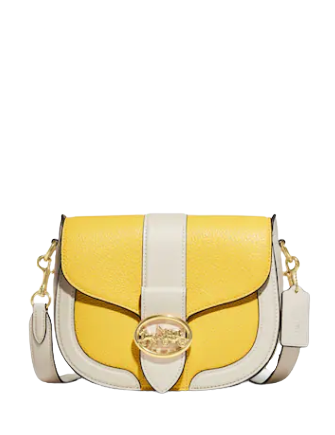 Coach saddle in 2025 colorblock