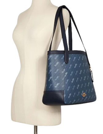 Coach vertical tote Clearance